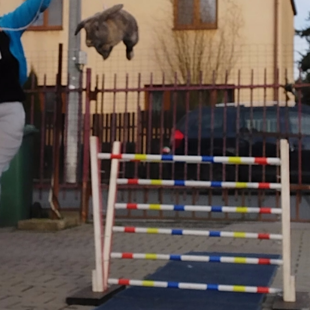 Holloway SCh Tennesine