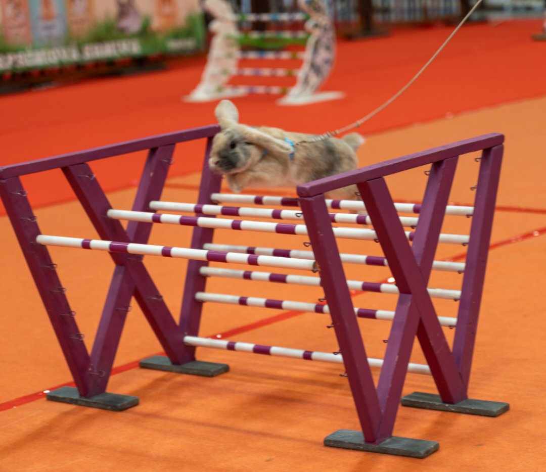 Composition My Blue Heaven GS